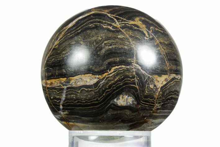 Polished Stromatolite (Greysonia) Sphere - Bolivia #355360